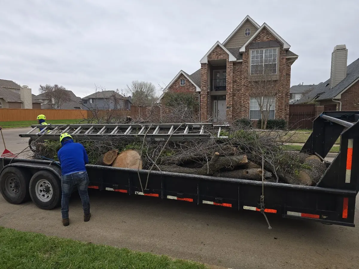 Expert Crown Reduction with proper safety equipment in Frisco